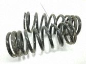Muelle espiral trasero
