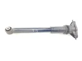 Rear shock absorber with coil spring