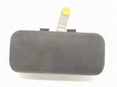 Manecilla externa puerta delantera