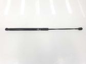 Tailgate/trunk strut/damper