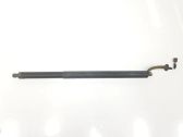 Tailgate/trunk strut/damper