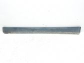 Moldura del faldón lateral