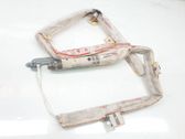 Airbag del techo
