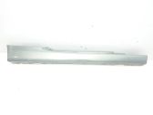 Sill/side skirt trim