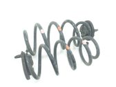 Rear coil spring