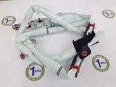 Roof airbag