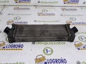 Intercooler radiator