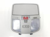 Luz del asiento delantero