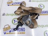 Cinturón trasero
