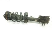 Front shock absorber/damper