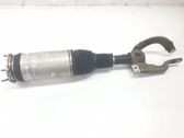 Front shock absorber/damper