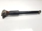 Rear shock absorber/damper