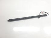 Tailgate/trunk strut/damper