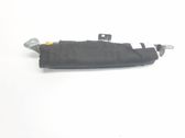 Front door airbag