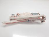 Airbag del techo