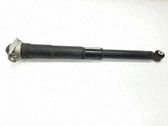 Stoßdämpfer hinten