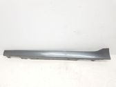 Sill/side skirt trim