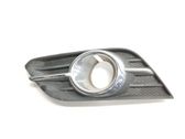 Rejilla delantera