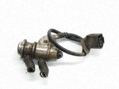 Inyector de combustible