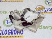 Cinturón trasero