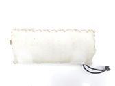 Airbag del pasajero