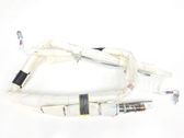 Airbag del techo