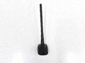 Radion antenni
