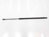 Tailgate/trunk strut/damper
