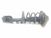 Front shock absorber/damper
