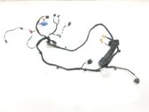 Other wiring loom
