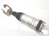 Front shock absorber/damper