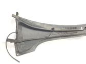 Moldura del limpia