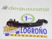 Manecilla externa puerta trasera