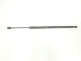 Gasdruckfeder Dämpfer Motorhaube