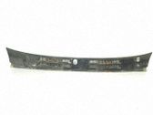 Moldura del limpia