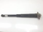 Stoßdämpfer hinten
