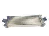 Intercooler radiator