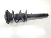 Front shock absorber/damper