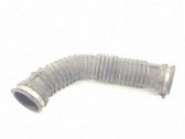 Manguera/tubo de aceite del turbocompresor turbo