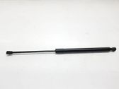 Tailgate/trunk strut/damper
