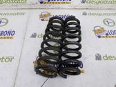 Rear coil spring