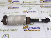 Front shock absorber/damper
