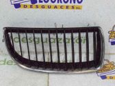 Kühlergrill