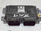 Unidad de control/módulo del motor