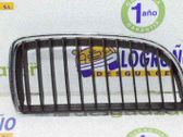 Rejilla delantera