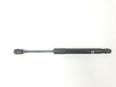 Front bonnet/hood damper/strut