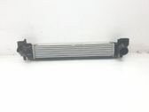 Radiador intercooler