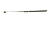 Tailgate/trunk strut/damper