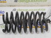 Muelle espiral trasero