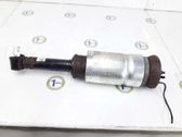Front shock absorber/damper